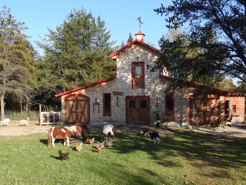 La ferme Dan Nature : un havre de nature